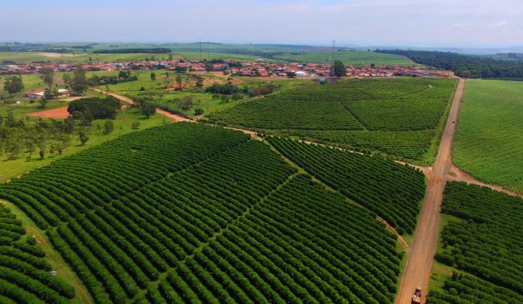 Agronegócio dispara e de novo deve sustentar saldo comercial com US$ 126,8 bilhões